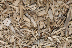 biomass boilers Carmyllie